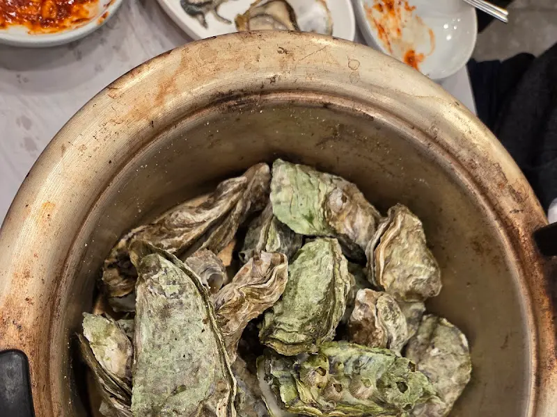 싱싱한 굴 사진