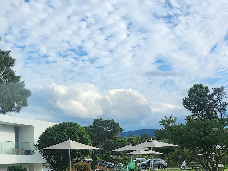 카페 외부 풍경