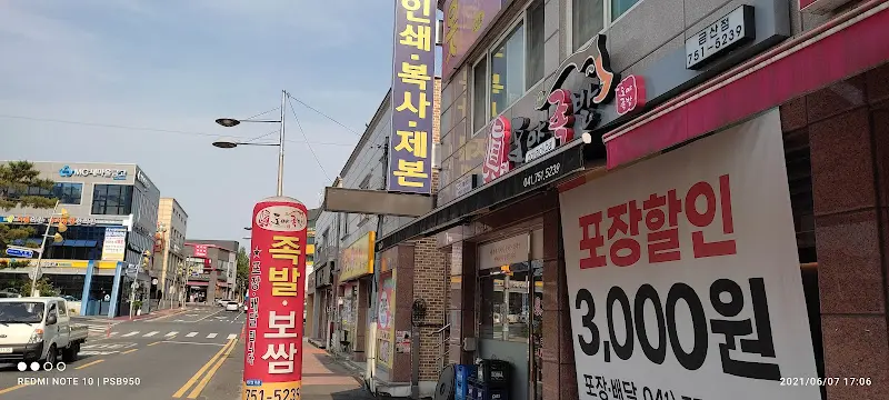 싱그러운 나뭇잎