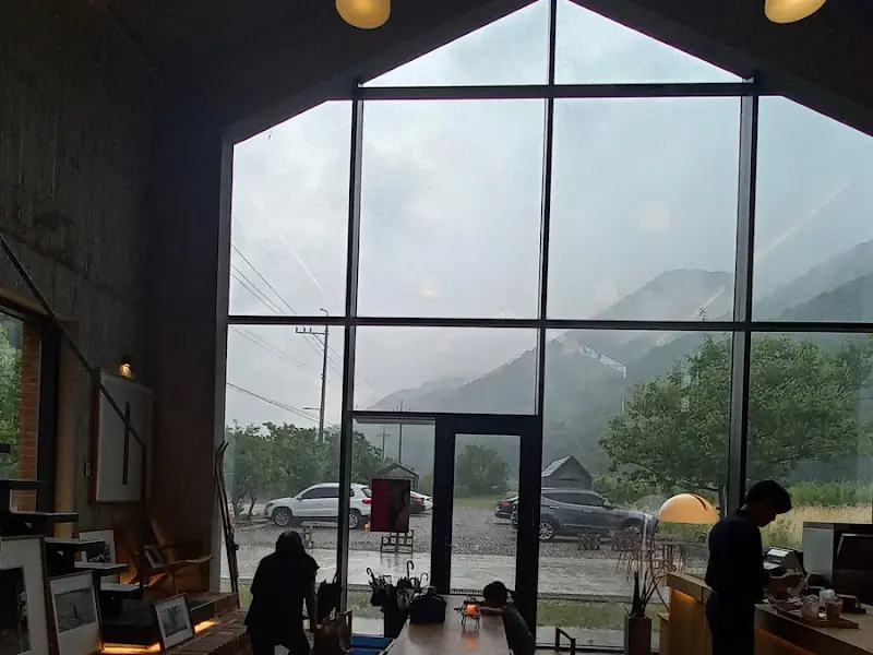 카페 수요일의 통창 너머 보이는 빗방울 맺힌 풍경