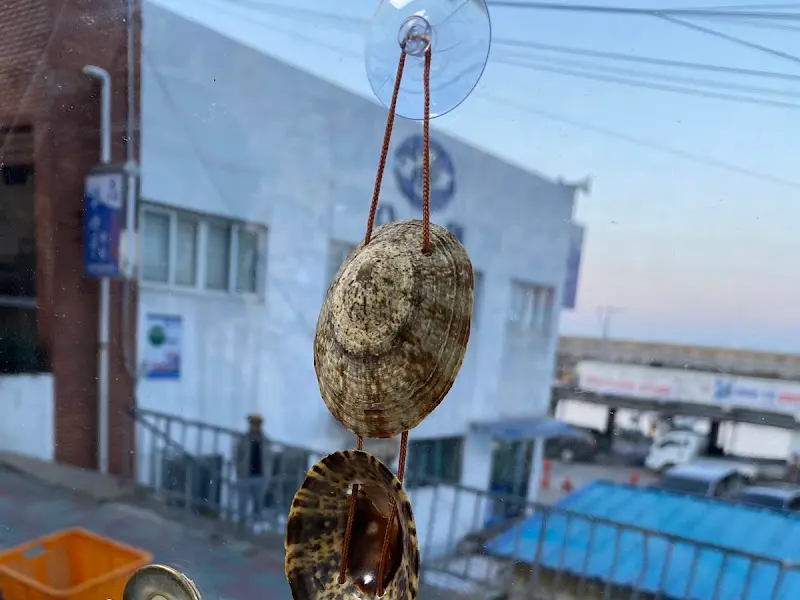 가게 창문에 매달린 따개비 껍데기 장식