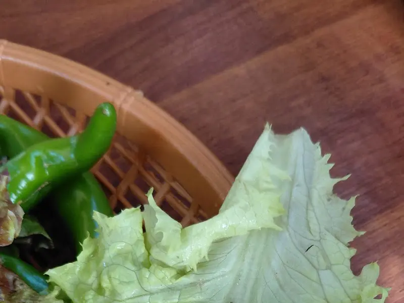 싱싱한 쌈 채소