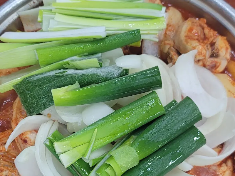 닭볶음탕 속 파와 양파