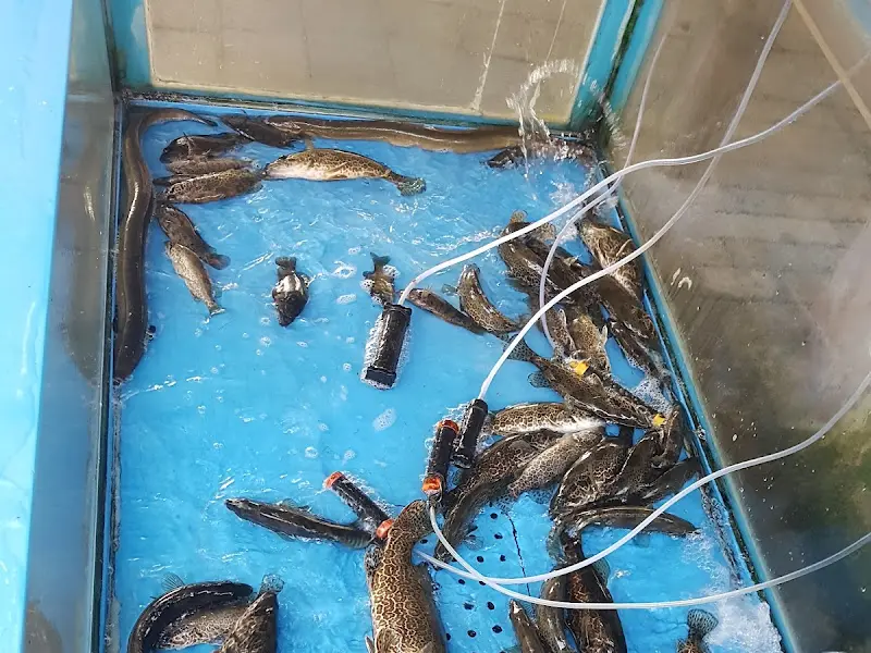 수족관 안의 물고기들