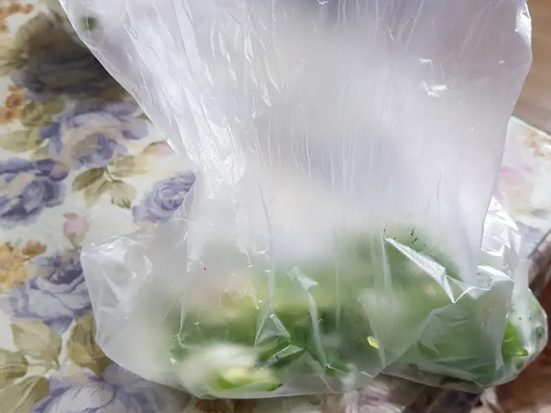 포장된 설렁탕과 파