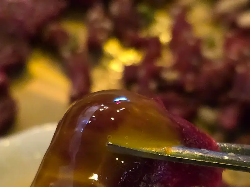 노른자를 터트린 육회