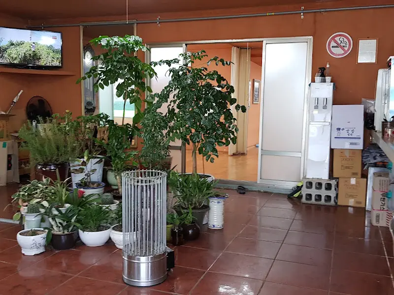 실내에 놓여진 화분들