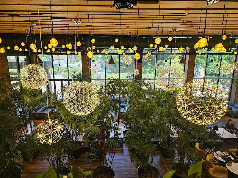 카페 내부 조명