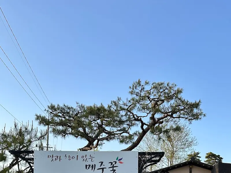 메주꽃 간판