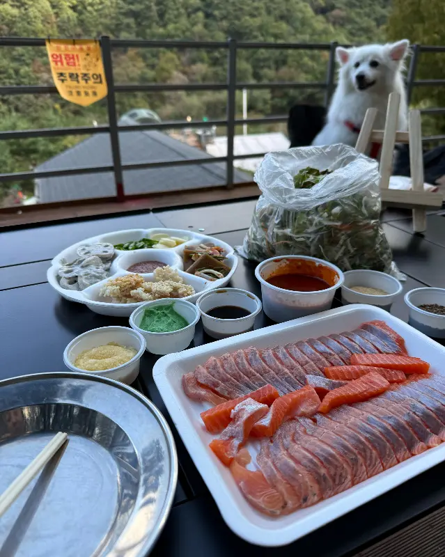 야외 테이블에서 즐기는 송어회