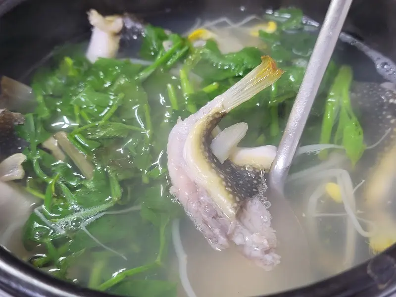 숟가락 위의 졸복