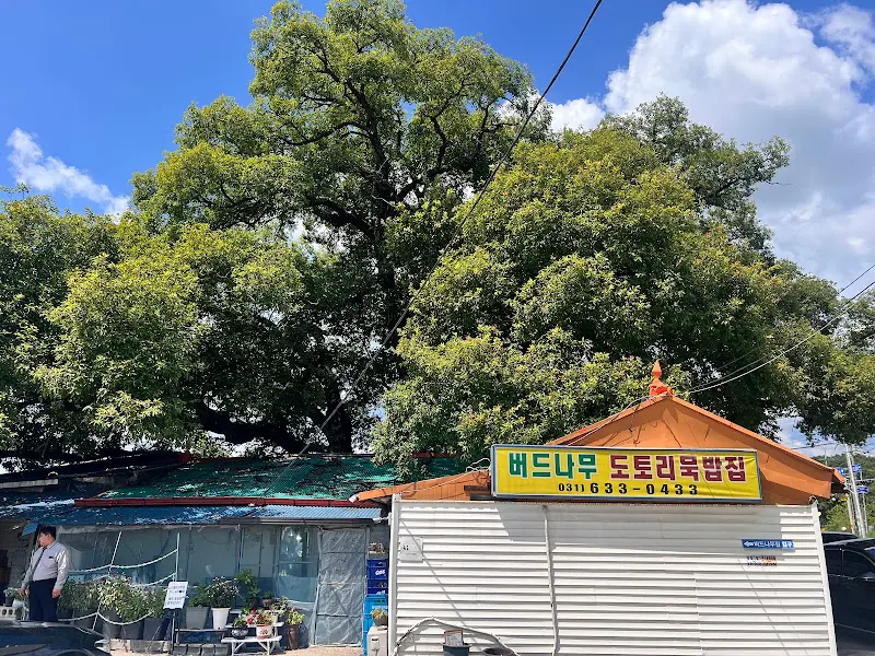 버드나무 도토리묵밥집 외관