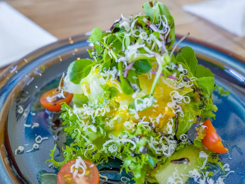 신선한 샐러드의 모습