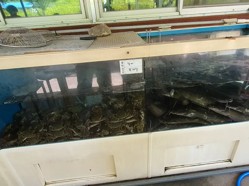 수족관 속 참게와 메기