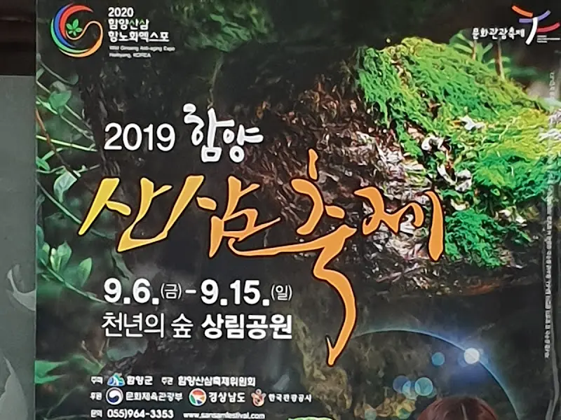 함양 산삼 축제 포스터