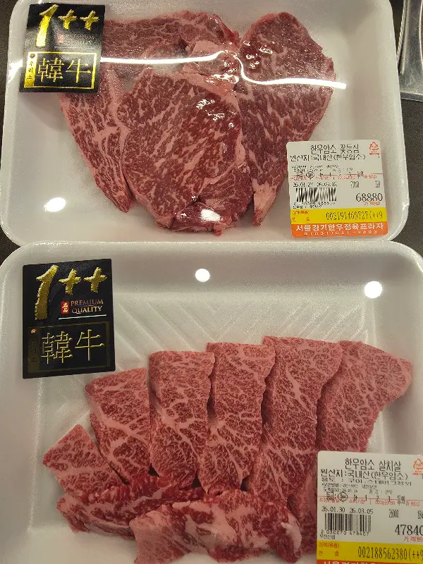 서경한우 암소 한우