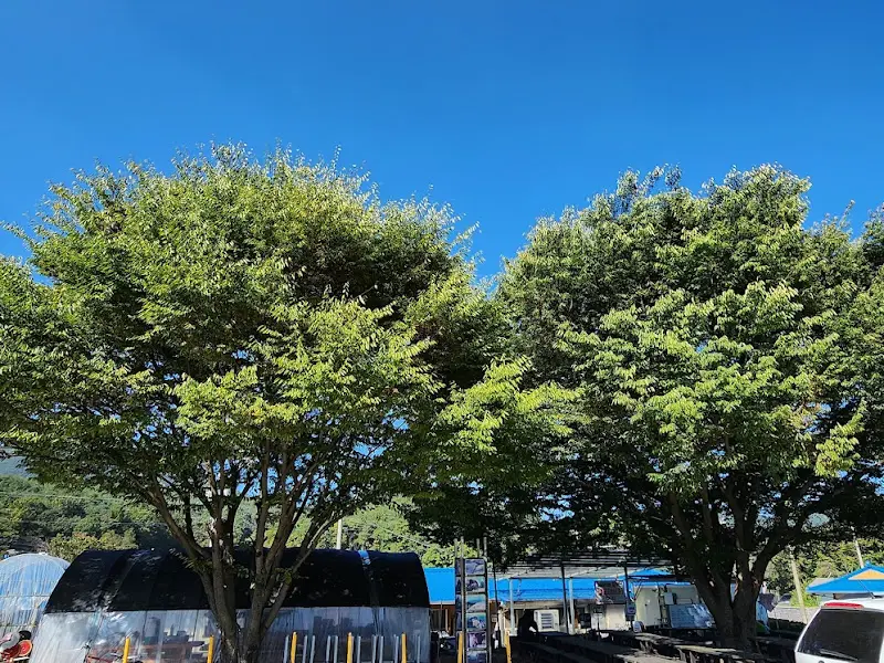 식당 주변 풍경