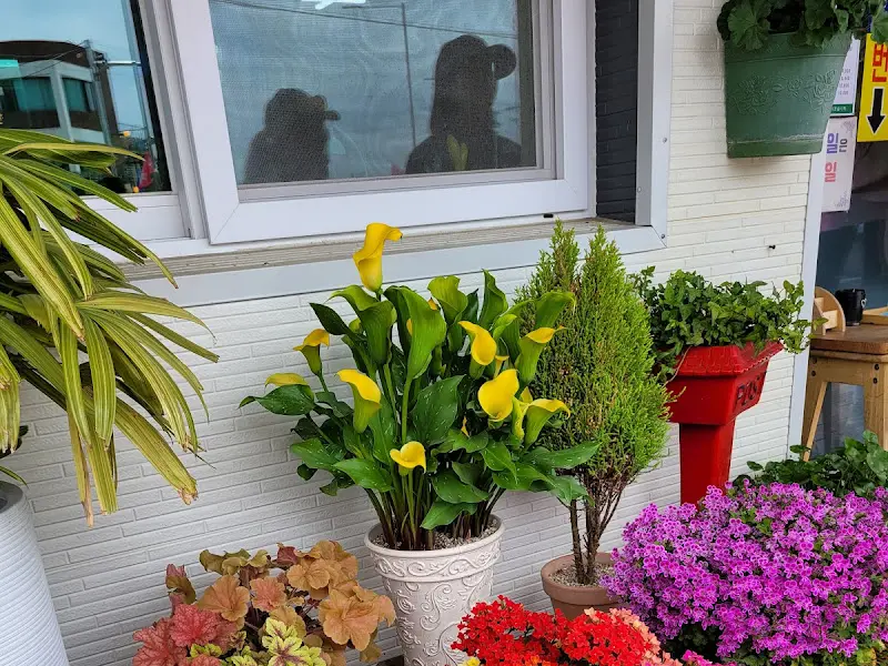 알록달록한 화분들이 놓여있는 식당 외부 모습