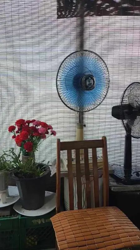 오복식당 내부 선풍기와 꽃