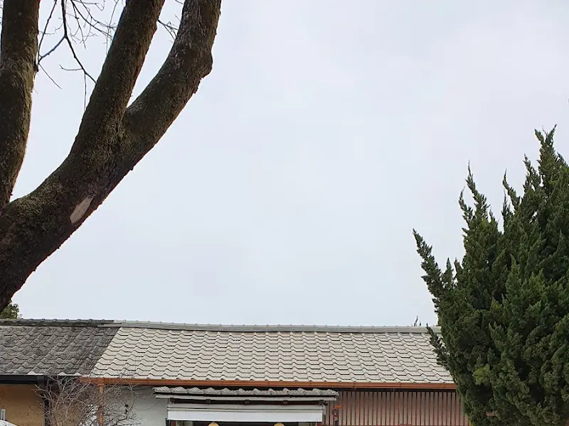 식사 후 디저트