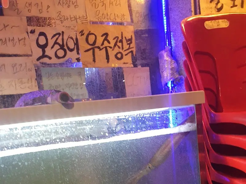 수조 속 오징어
