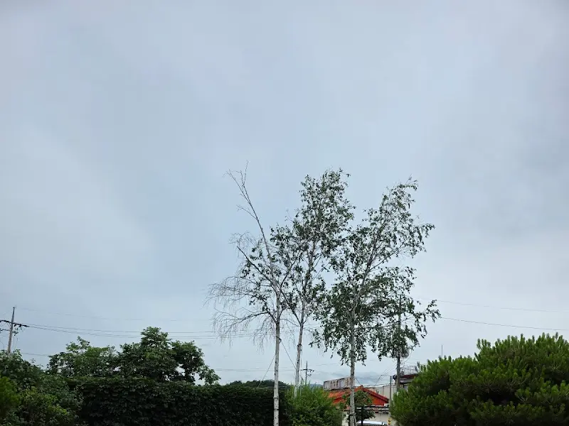 푸른 하늘