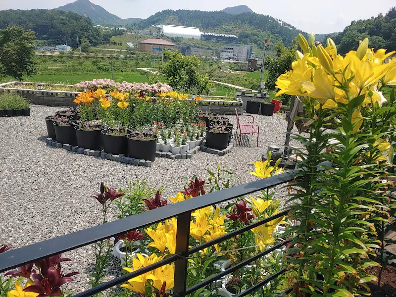 화단에 심어진 다양한 꽃들