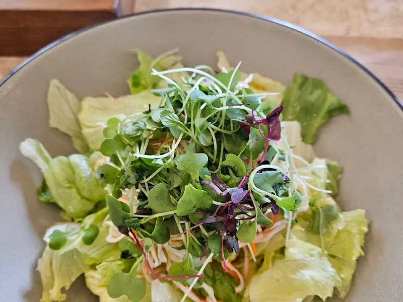 신선한 채소가 듬뿍 들어간 샐러드