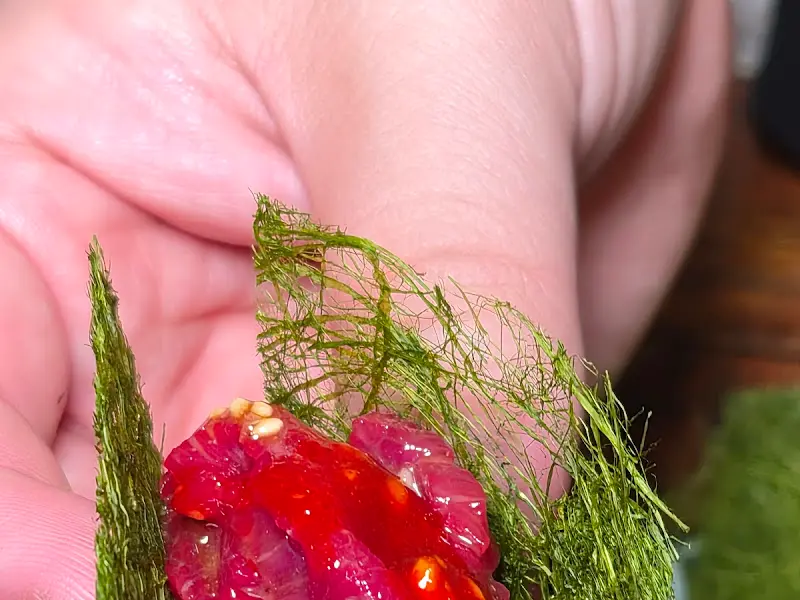 감태와 육회의 조화