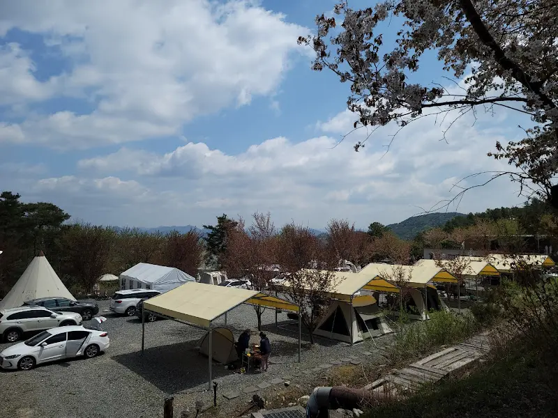 캠핑장의 모습