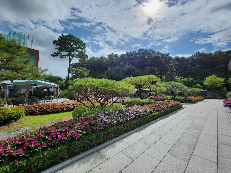 잘 꾸며진 정원