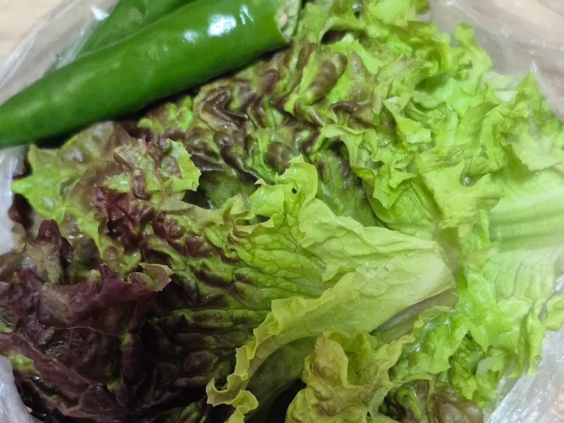 신선한 상추와 쌈 채소