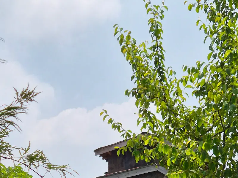 푸른 하늘과 나뭇잎이 어우러진 색장정미소의 풍경