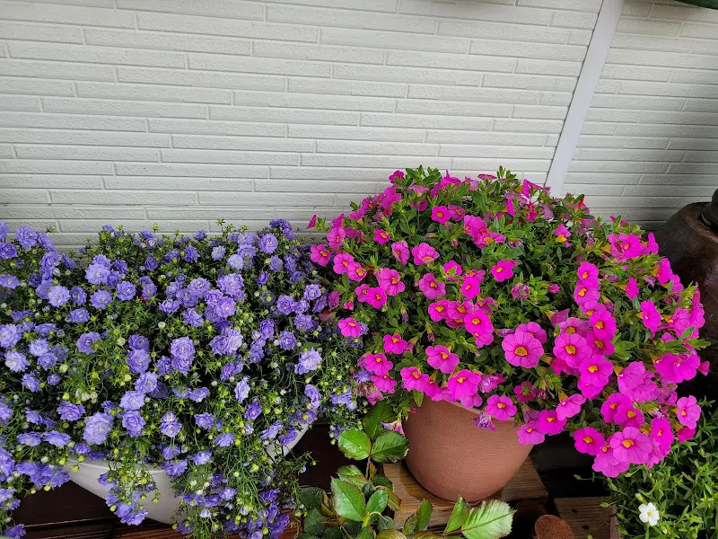 화려하게 핀 꽃들의 모습