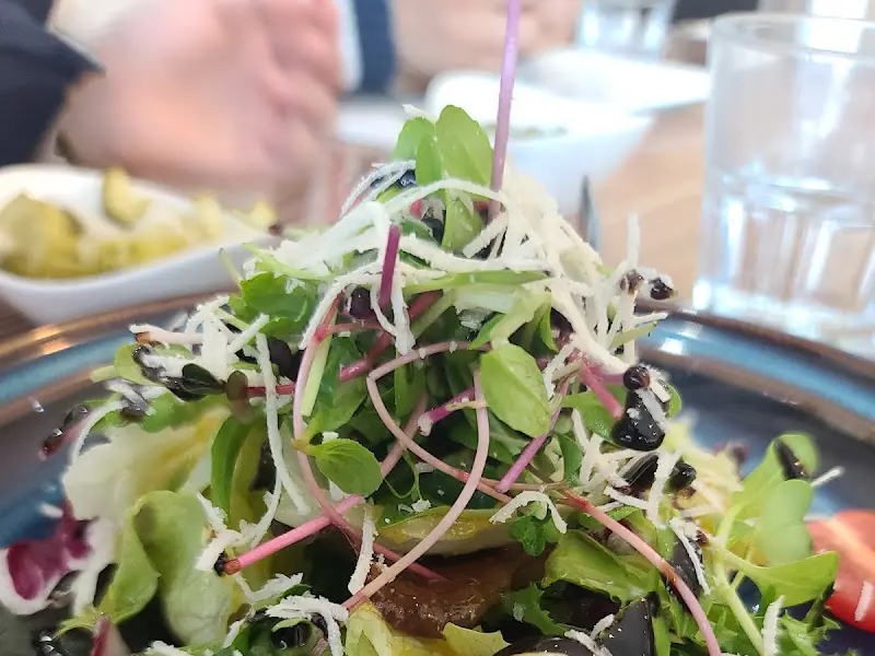 샐러드 근접 사진