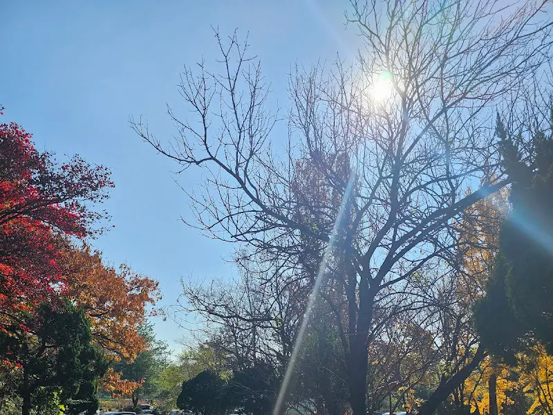 온리쭈꾸미 메뉴