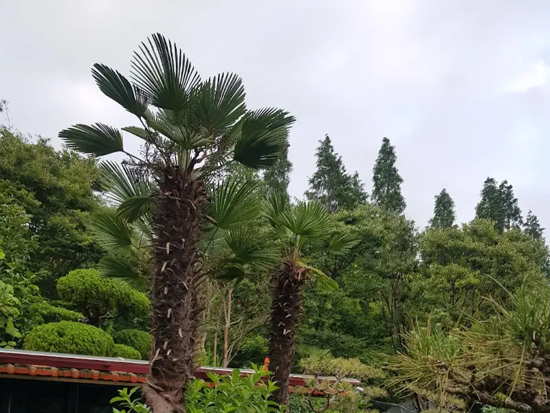 식당 주변 풍경