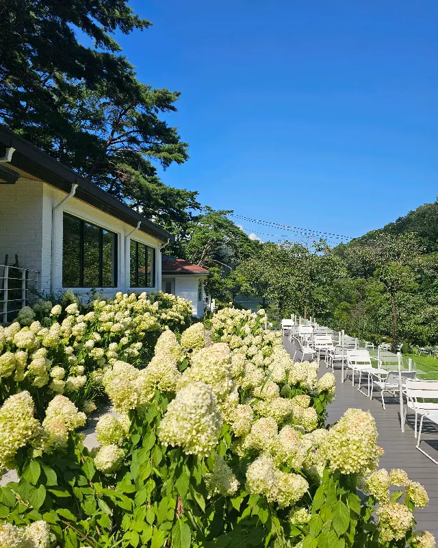 카페 외부 정원