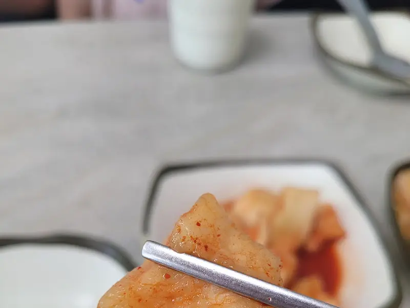 깍두기를 집어 올린 젓가락