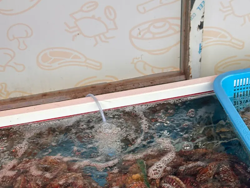 수족관 속 낙지