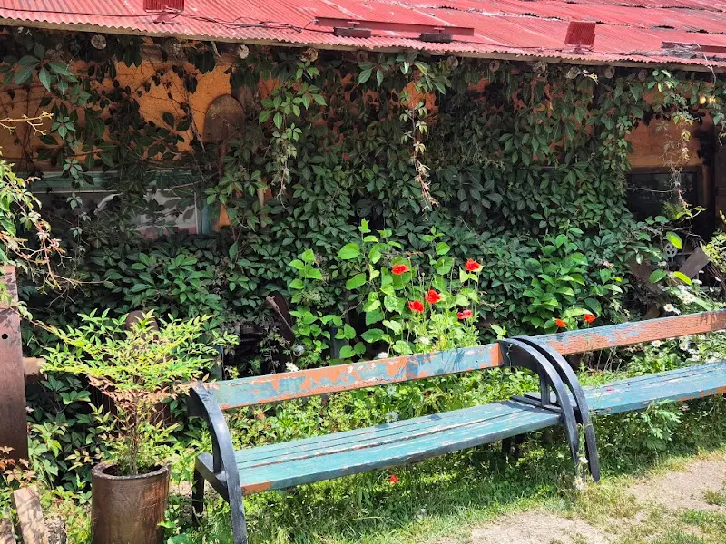 사진 찍기 좋은 아름다운 공간