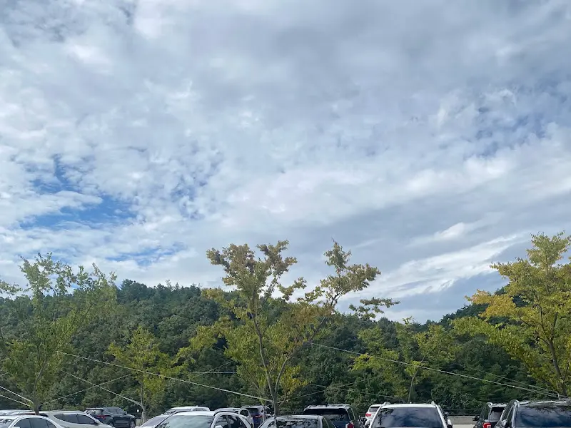 군위 오펠 카페 전경