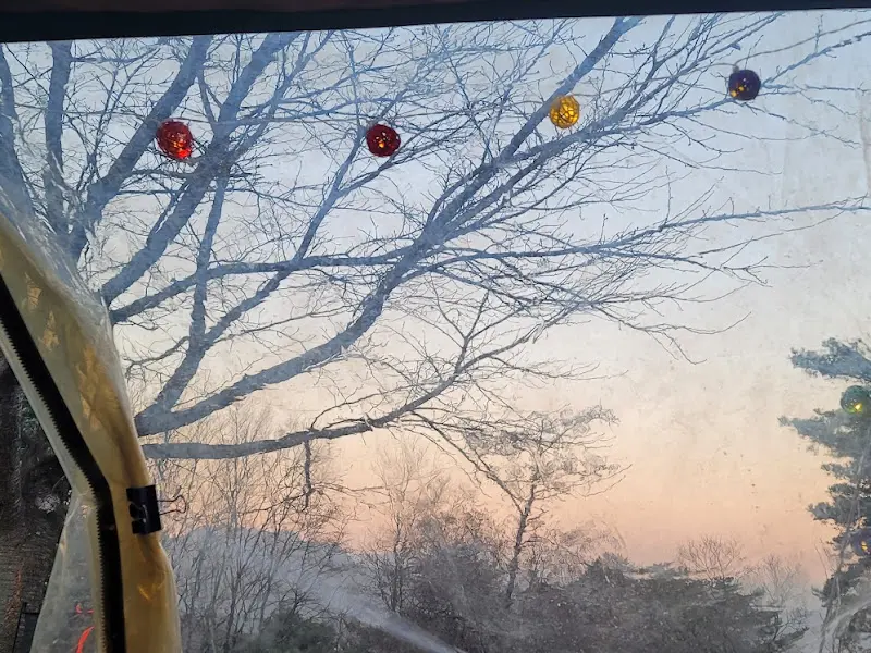 카페올라 창밖 풍경