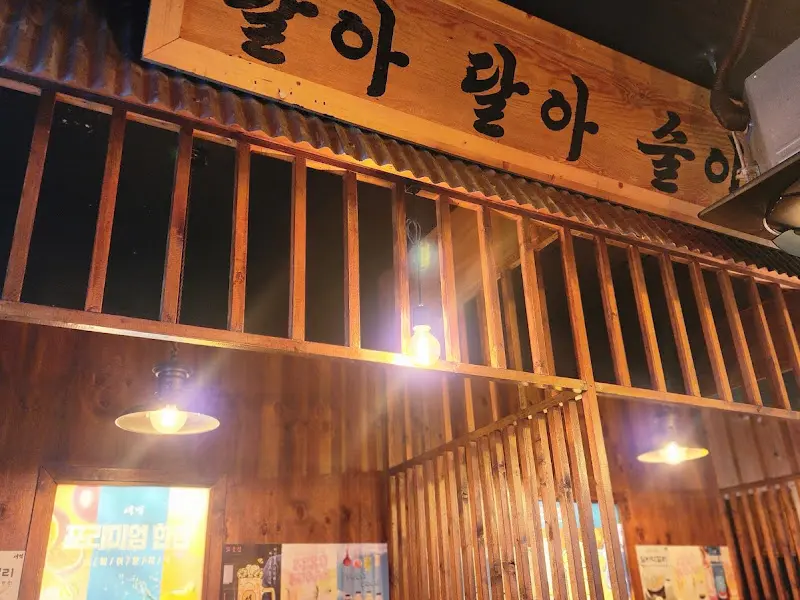 술집 새벽의 나무 간판