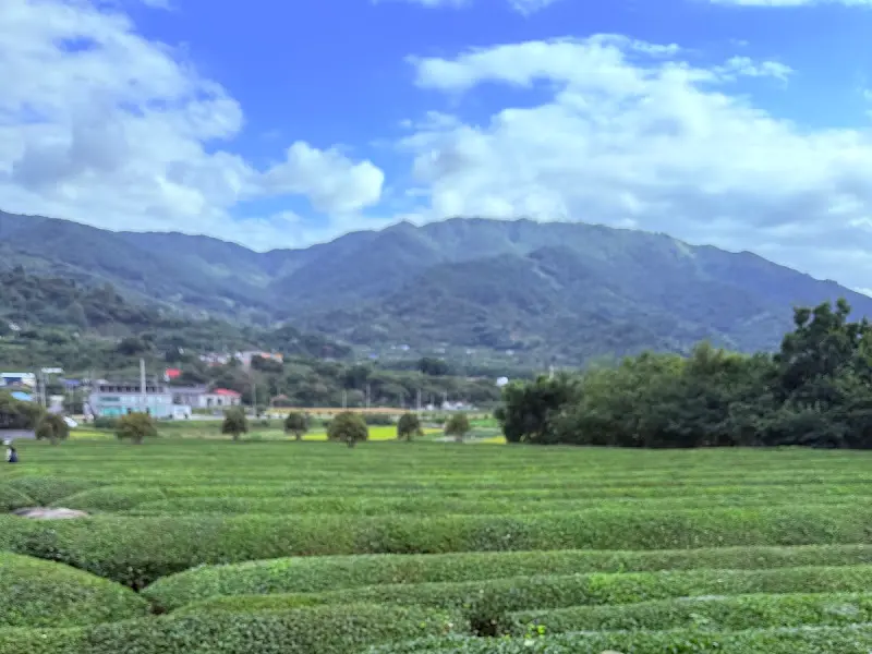 하동의 아름다운 풍경