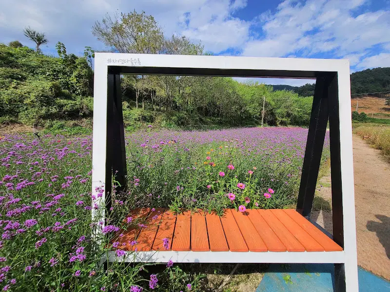 액자 포토존에서 찍은 사진