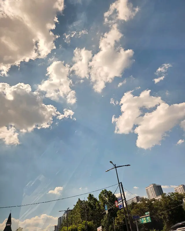 맛있는 식사를 마치고 가게를 나서는 길