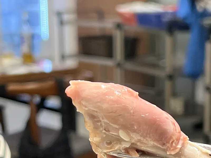 살이 꽉 찬 오리 고기