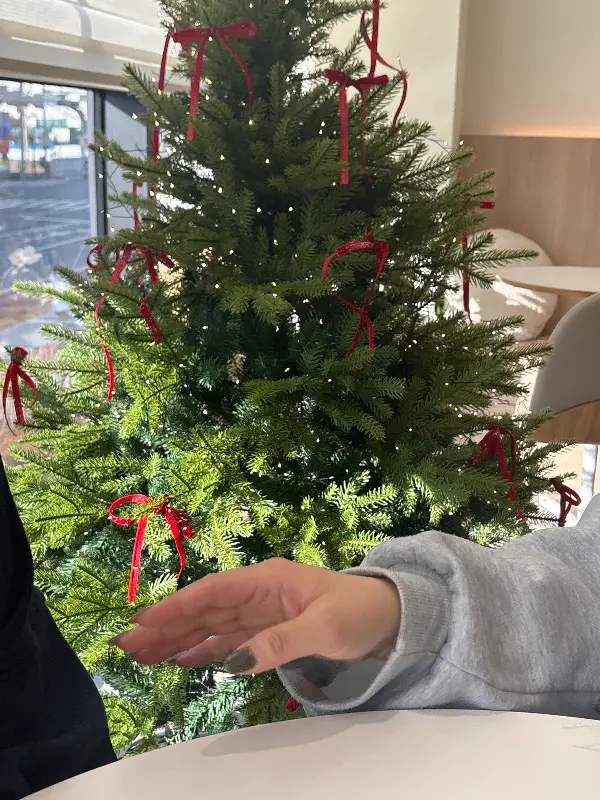 코이의 크리스마스 장식