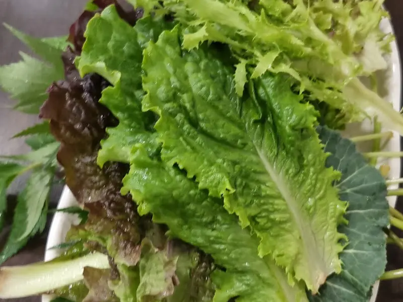 싱싱한 쌈 채소 한가득